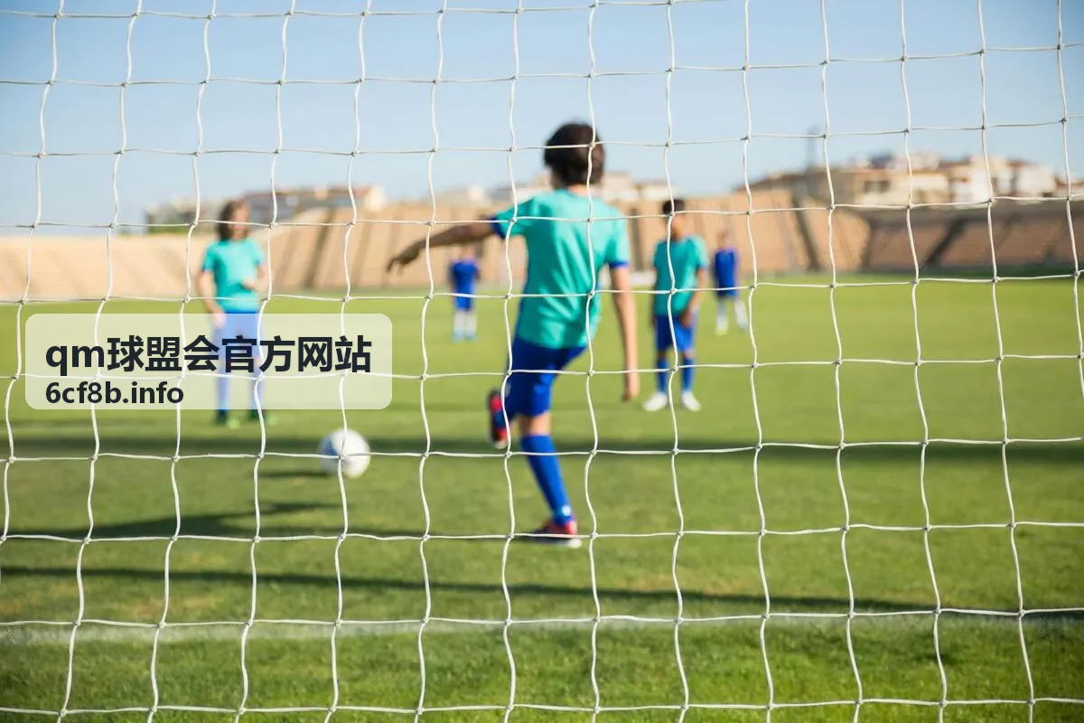 洪刚解说世界杯：激情与专业的完美交织，球迷的视听盛宴